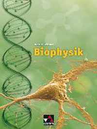 Biophysik