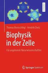 Biophysik in der Zelle