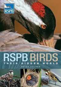 Rspb Birds: Their Hidden World