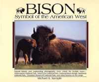 Bison