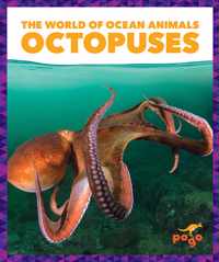 Octopuses