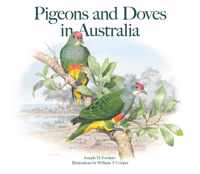 Pigeons and Doves in Australia