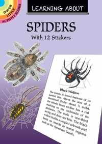 Learning About Spiders