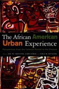 African American Urban Experience