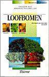 Loofbomen