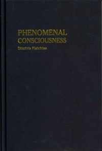 Phenomenal Consciousness