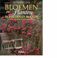 De pracht van bloemen en planten in potten en bakken