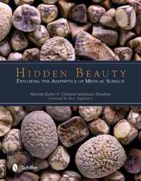 Hidden Beauty: Exploring the Aesthetics of Medical Science