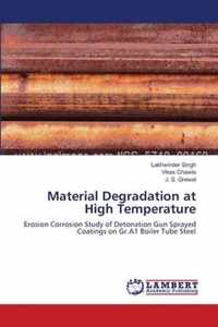 Material Degradation at High Temperature