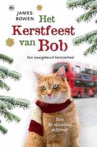 Het kerstfeest van Bob