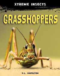 Grasshoppers