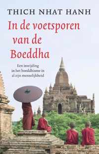 In de voetsporen van de Boeddha