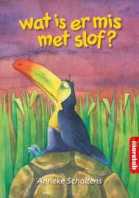 Boemerang  -   Wat is er mis met Slof?