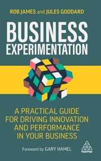 Business Experimentation