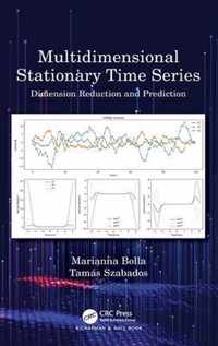 Multidimensional Stationary Time Series