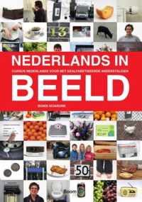 Nederlands in beeld