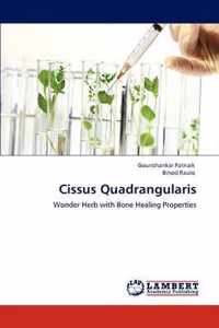 Cissus Quadrangularis