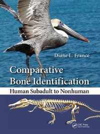 Comparative Bone Identification