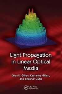 Light Propagation in Linear Optical Media