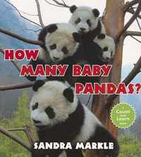 How Many Baby Pandas?