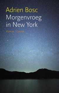 Morgenvroeg in New York