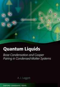 Quantum Liquids