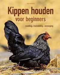 Kippen houden voor beginners