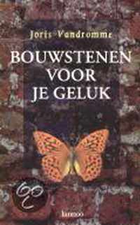 Bouwstenen voor je geluk