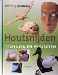 Houtsnijden Techniek En Projecten