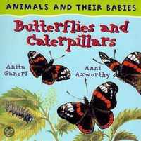 Butterflies And Caterpillars