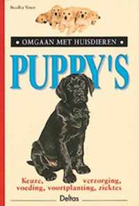 Puppy's Omgaan Met Huisdieren