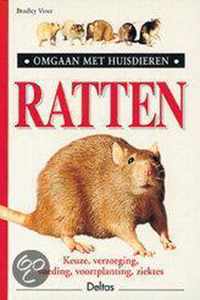 Ratten Omgaan Met Huisdieren