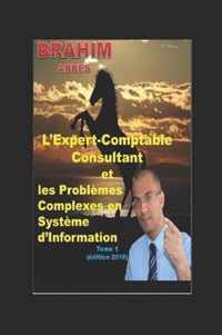 L'Expert-Comptable Consultant et les Problemes Complexes en Systeme d'Information (Tome 1)