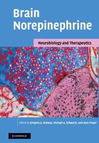 Brain Norepinephrine