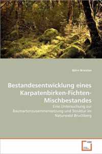 Bestandesentwicklung eines Karpatenbirken-Fichten-Mischbestandes