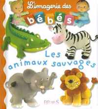 Imagerie DES Bebes