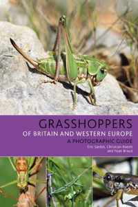 Grasshoppers of Britain and Western Europe