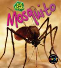 Mosquito