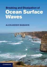 Breaking And Dissipation Of Ocean Surface Waves