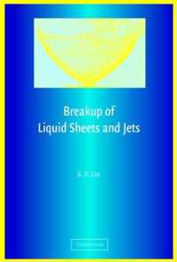 Breakup of Liquid Sheets and Jets