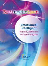 Breingeheimen Emotioneel intelligent werkboek