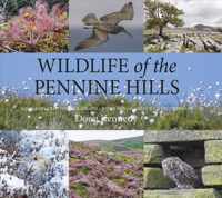 Wildlife of the Pennine Hills