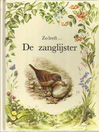 Zanglyster