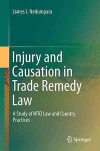 Injury and Causation in Trade Remedy Law