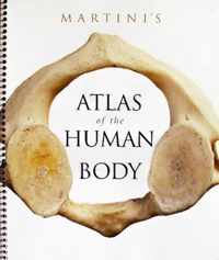 Martini's Atlas of the Human Body