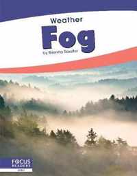 Fog