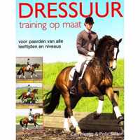 Dressuurtraining Op Maat