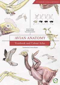 Avian Anatomy