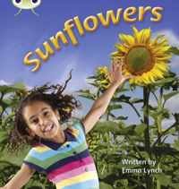 Bug Club Phonics Non Fiction Year 1 Phase 5 Set 20 Sunflowers