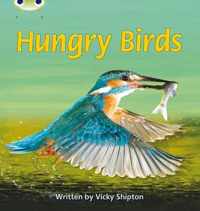 Bug Club Phonics Non Fiction Year 1 Phase 5 Set 23 Hungry Birds